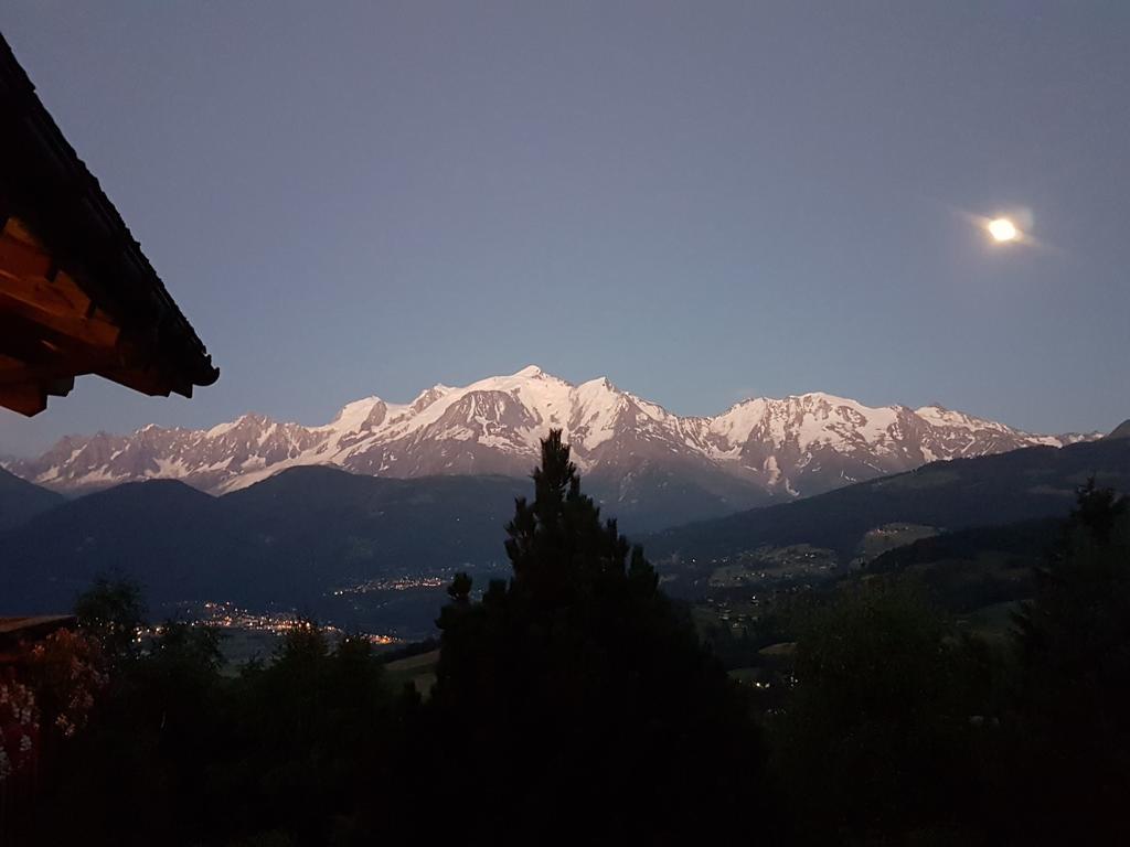 La Joubarbe Au Balcon Du Mont-Blanc Villa Sallanches Esterno foto